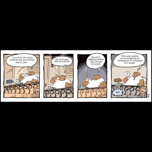 Ενα αρκούδι μετράει τ’άστρα 18.01.2025